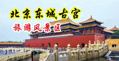 美女被大鸡巴操的视频中国北京-东城古宫旅游风景区